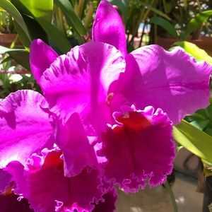 Meet your Posher, Greg